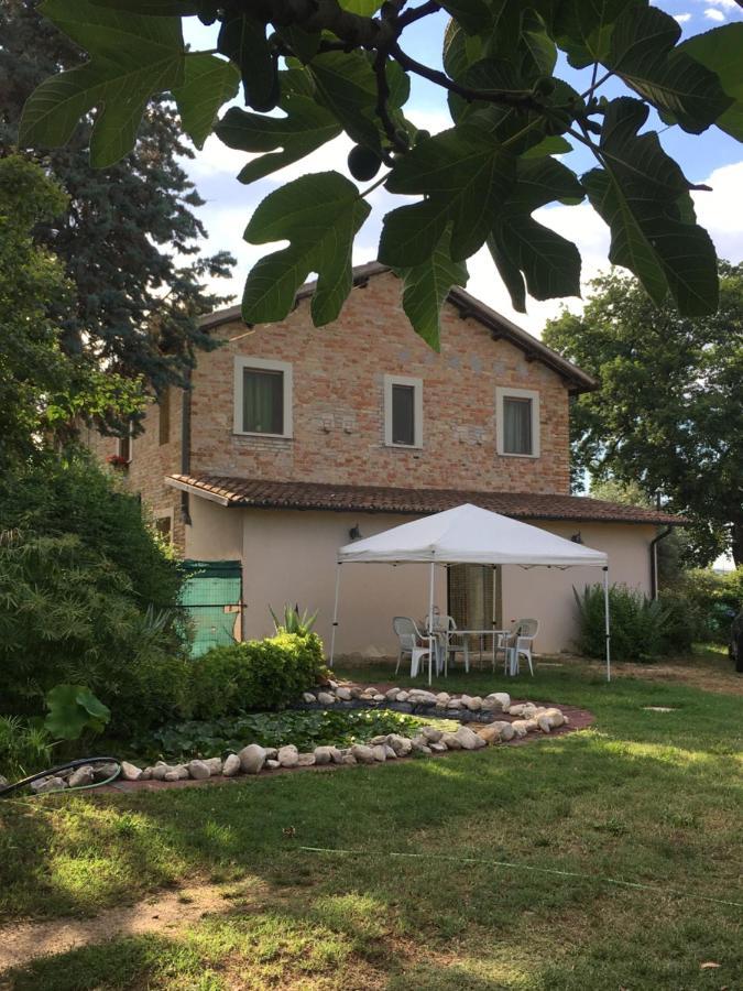 Fiordiloto Apartment Monsampolo Del Tronto Bagian luar foto